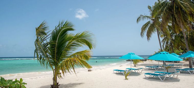 Hotel The Sands Barbados:  BARBADOS