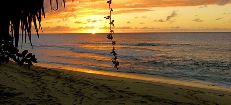 Hotel Emerald Beach 5 - Villa Aspicia Barbados : Photo 