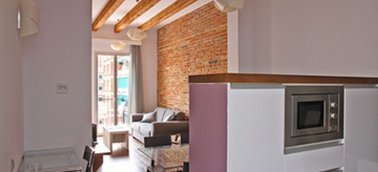 Mh Apartments Center:  BARCELONE