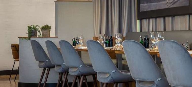 Radisson Blu Hotel Basel:  BASILEA