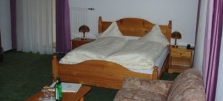 Hotel Balegra Basilea: Foto 