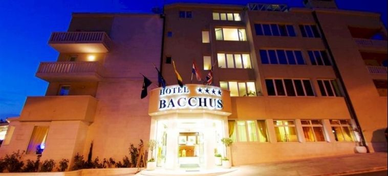Hotel Villa Bacchus:  BASKA VODA - DALMATIA
