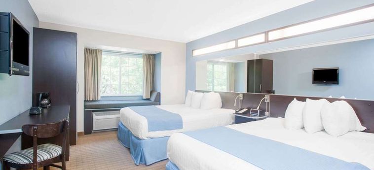 Hotel Microtel Inn & Suites By Wyndham Bath:  BATH (NY)
