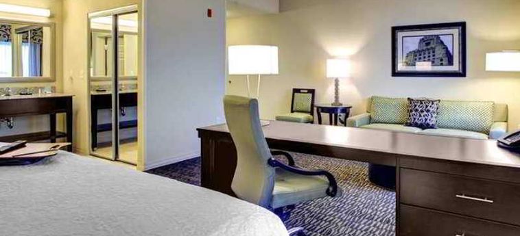 Hotel Hampton Inn And Suites Baton Rouge Downtown:  BATON ROUGE (LA)