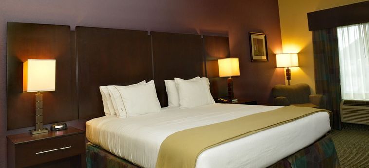 Hotel Holiday Inn Express & Suites Baton Rouge North:  BATON ROUGE (LA)