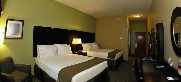 Hotel Holiday Inn Express & Suites Baton Rouge North:  BATON ROUGE (LA)