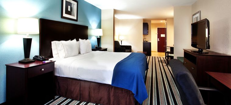 Hotel Holiday Inn Express & Suites Baton Rouge -Port Allen:  BATON ROUGE (LA)