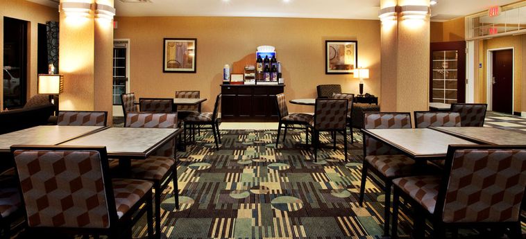 Hotel Holiday Inn Express & Suites Baton Rouge -Port Allen:  BATON ROUGE (LA)