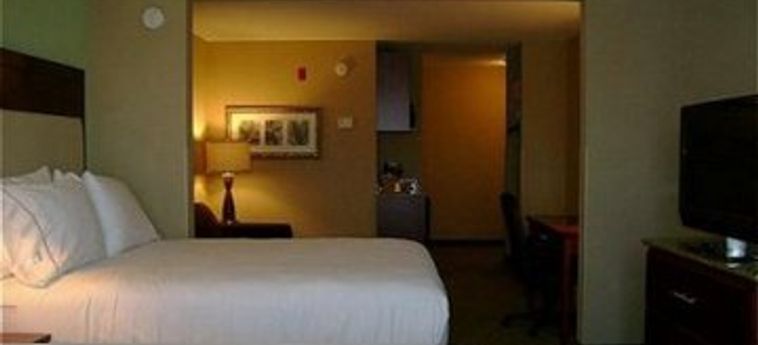 Hotel Holiday Inn Express Baton Rouge East:  BATON ROUGE (LA)