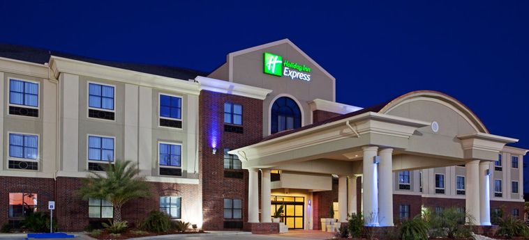 Hotel Holiday Inn Express & Suites Vidor South:  BEAUMONT (TX)