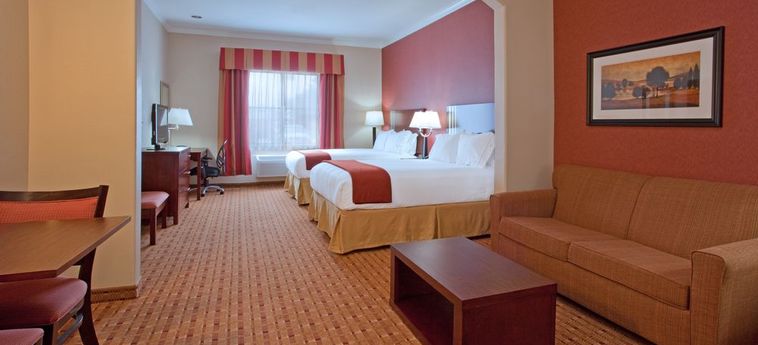 Hotel Holiday Inn Express & Suites Vidor South:  BEAUMONT (TX)