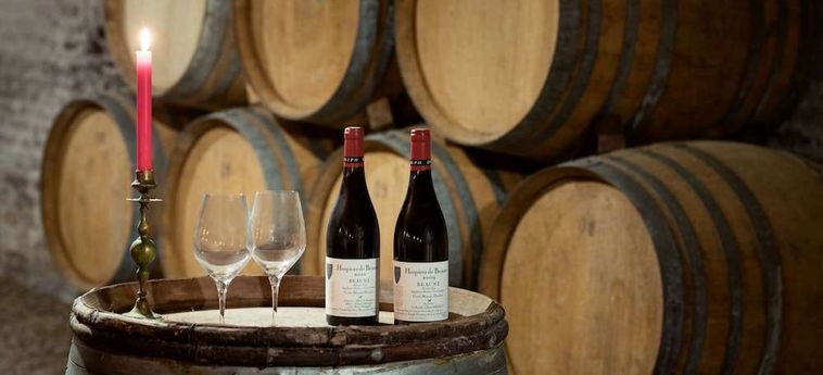 Hotel Des Remparts Beaune : Photo 