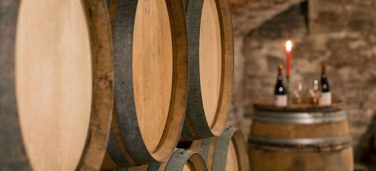 Hotel Des Remparts Beaune: Foto 