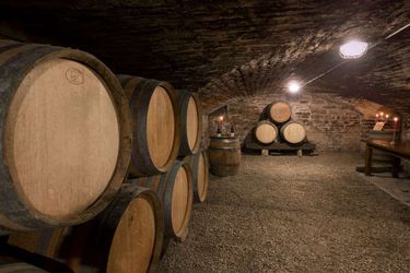 Hotel Des Remparts Beaune: Photo 