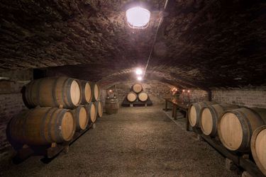 Hotel Des Remparts Beaune: Photo 