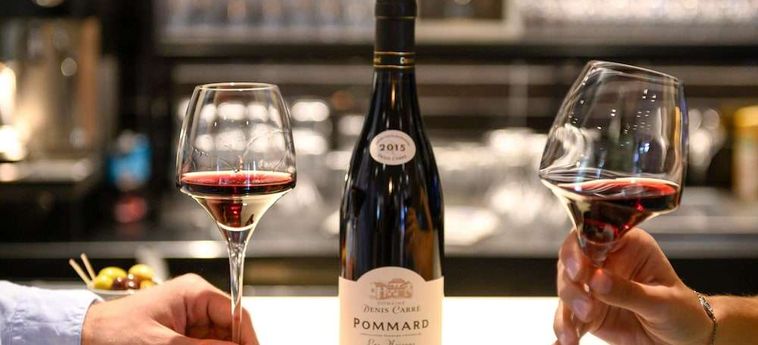 Hotel Novotel Beaune:  BEAUNE