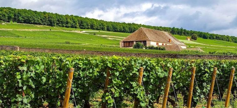 Hotel Voco Beaune – Cité Des Vins By Ihg Beaune: Foto 