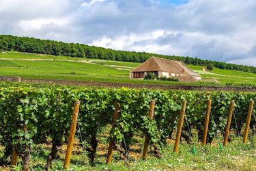 Hotel Voco Beaune – Cité Des Vins By Ihg Beaune: Photo 