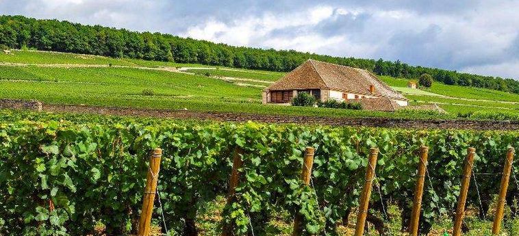 Hotel Voco Beaune Beaune: Photo 