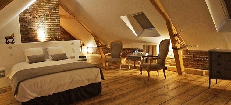Hotel La Salamandre Beauvais: Foto 