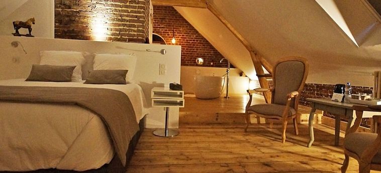 Hotel La Salamandre Beauvais: Foto 