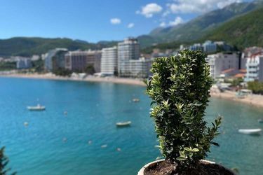 Hotel Kuc Becici: Photo 