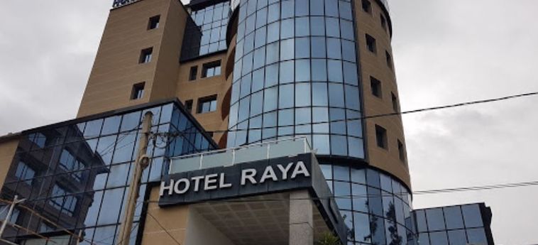 Hotel RAYA