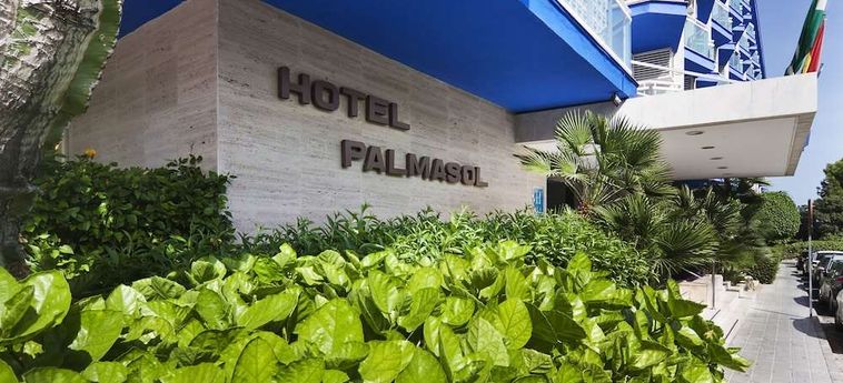 Hotel Palmasol Benalmadena - Costa Del Sol : Photo 