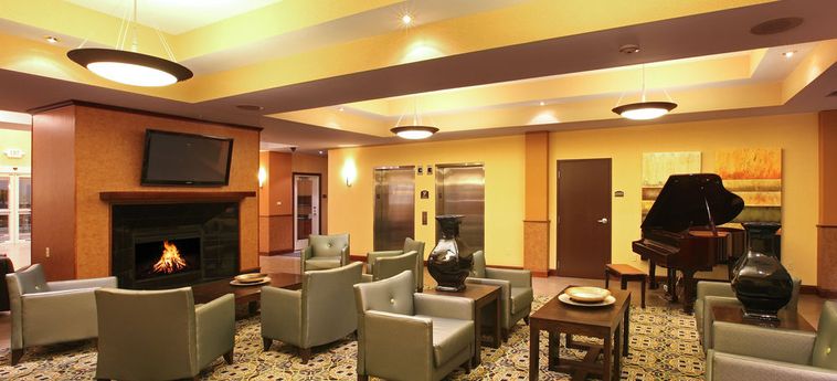 Holiday Inn Hotel & Suites Rogers - Pinnacle Hills:  BENTONVILLE (AR)