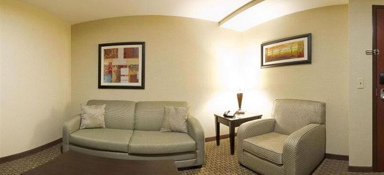 Holiday Inn Hotel & Suites Rogers - Pinnacle Hills:  BENTONVILLE (AR)