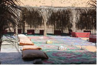 Hotel Desert Wonders Camp:  BIDIYAH