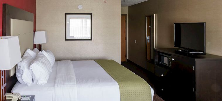 Hotel Holiday Inn:  BIG RAPIDS (MI)