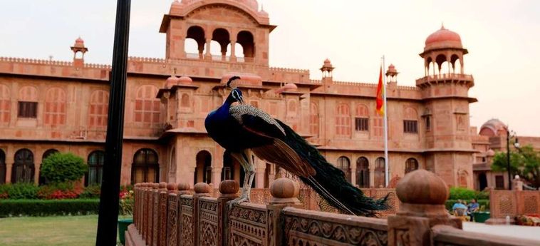 Hotel Lallgarh Palace Bikaner: Foto 