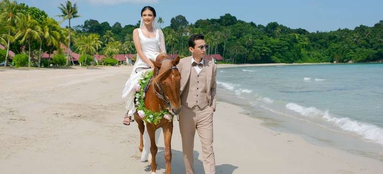 Hotel Banyu Biru Bintan Island : Photo 