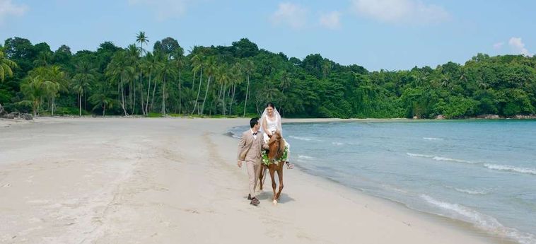 Hotel Banyu Biru Bintan Island : Photo 