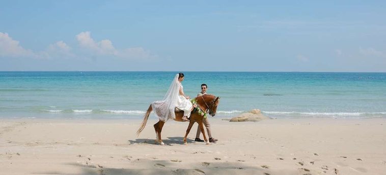 Hotel Banyu Biru Bintan Island: Foto 
