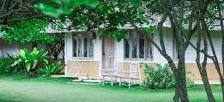 Hotel Trikora Beach Club &Amp; Resort Bintan Island: Foto 