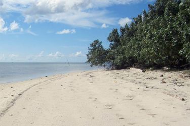 Hotel Berakit Bay Resort Bintan Island: Photo 