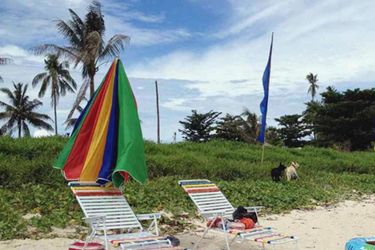 Hotel Berakit Bay Resort Bintan Island: Photo 