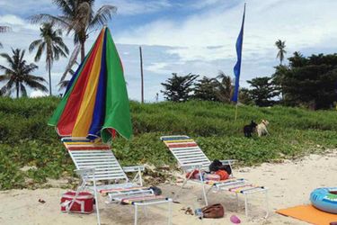 Hotel Berakit Bay Resort Bintan Island: Photo 