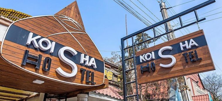 Koisha Hostel Bishkek: Foto 