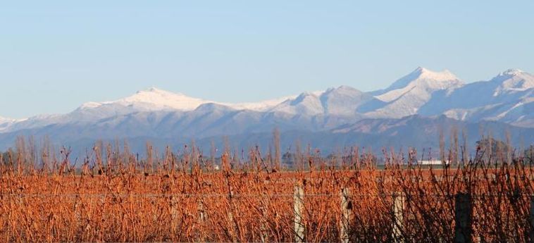 Hotel St Leonards Vineyard Cottages Blenheim: Foto 
