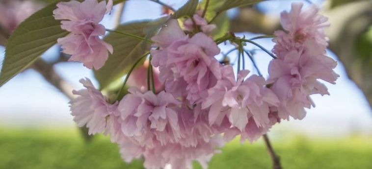 Hotel St Leonards Vineyard Cottages Blenheim: Foto 