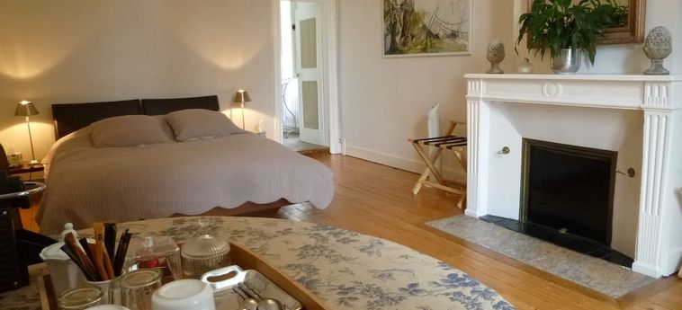 Hotel Demeure De La Cordelière:  BLOIS