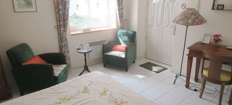Hotel Les Salamandres Maison D'hôtes Blois : Photo 