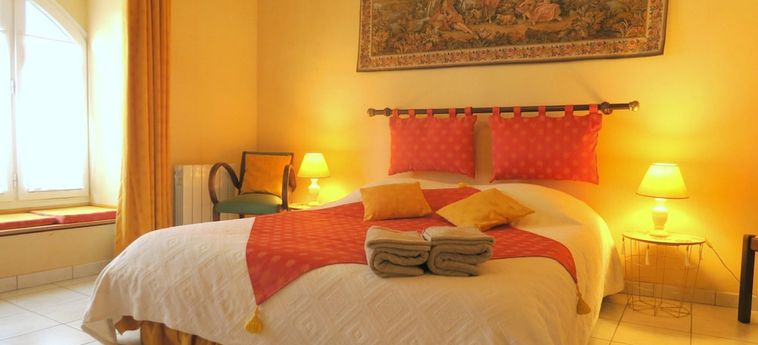 Hotel Les Salamandres Maison D'hôtes Blois : Photo 