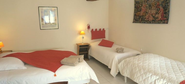 Hotel Les Salamandres Maison D'hôtes Blois : Photo 