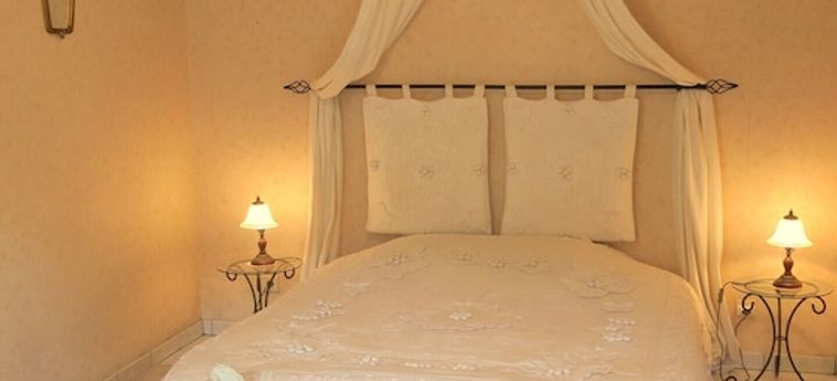 Hotel Les Salamandres Maison D'hôtes Blois : Photo 