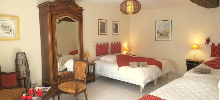 Hotel Les Salamandres Maison D'hôtes Blois : Photo 