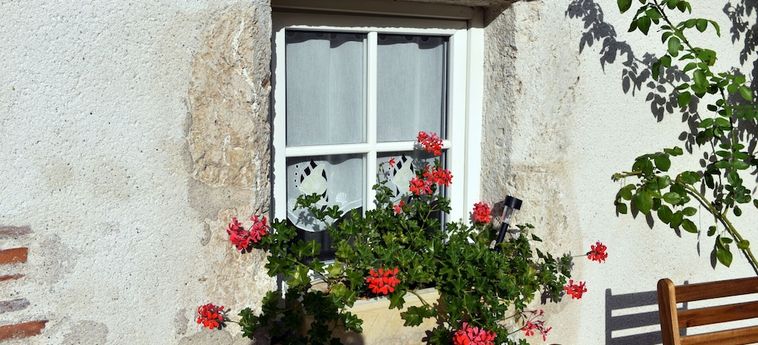 Hotel Les Salamandres Maison D'hôtes Blois : Photo 